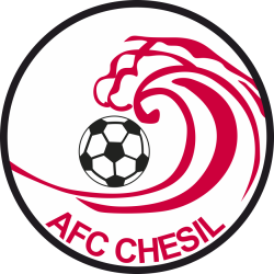 AFC Chesil badge